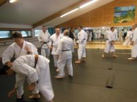 Aikido en action