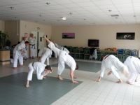 Capoeira en action
