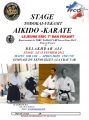 Stage Todokai-Fekamt Aikido-Karate