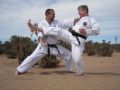Stage Ete Karate Kobudo