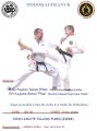Stage - JAPAN KARATE TULLINS FURES-(ISERE)
