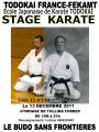 Stage Todokai FEKAMT - 13 dec 2011